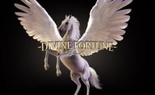Divine Fortune Black