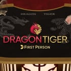 First Person Dragon Tiger