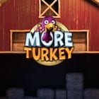 More Turkey