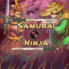 Samurai vs Ninja