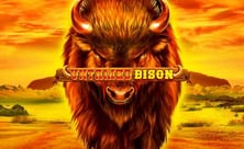 Untamed Bison