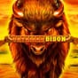 Untamed Bison